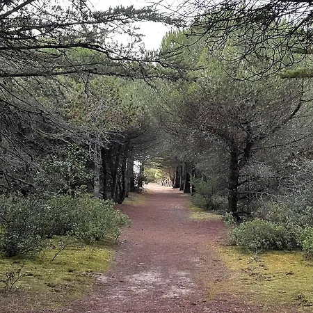 Le Appartement Barbâtre